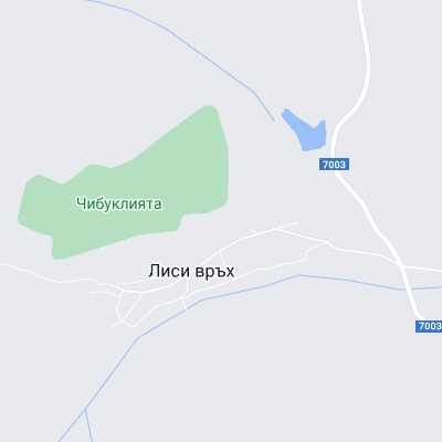 Лиси връх