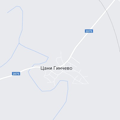 Цани Гинчево