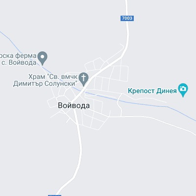 Войвода