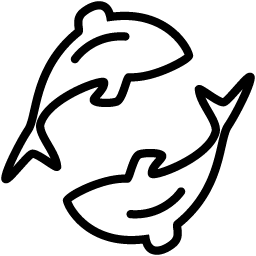 зодия